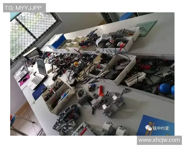 南京羽毛球队的深度解析与控制机制探秘