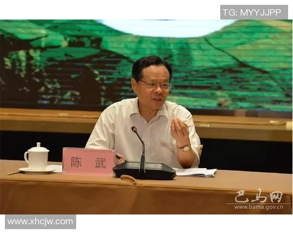 对话王军：回顾我的网球生涯与未来展望的深度交流